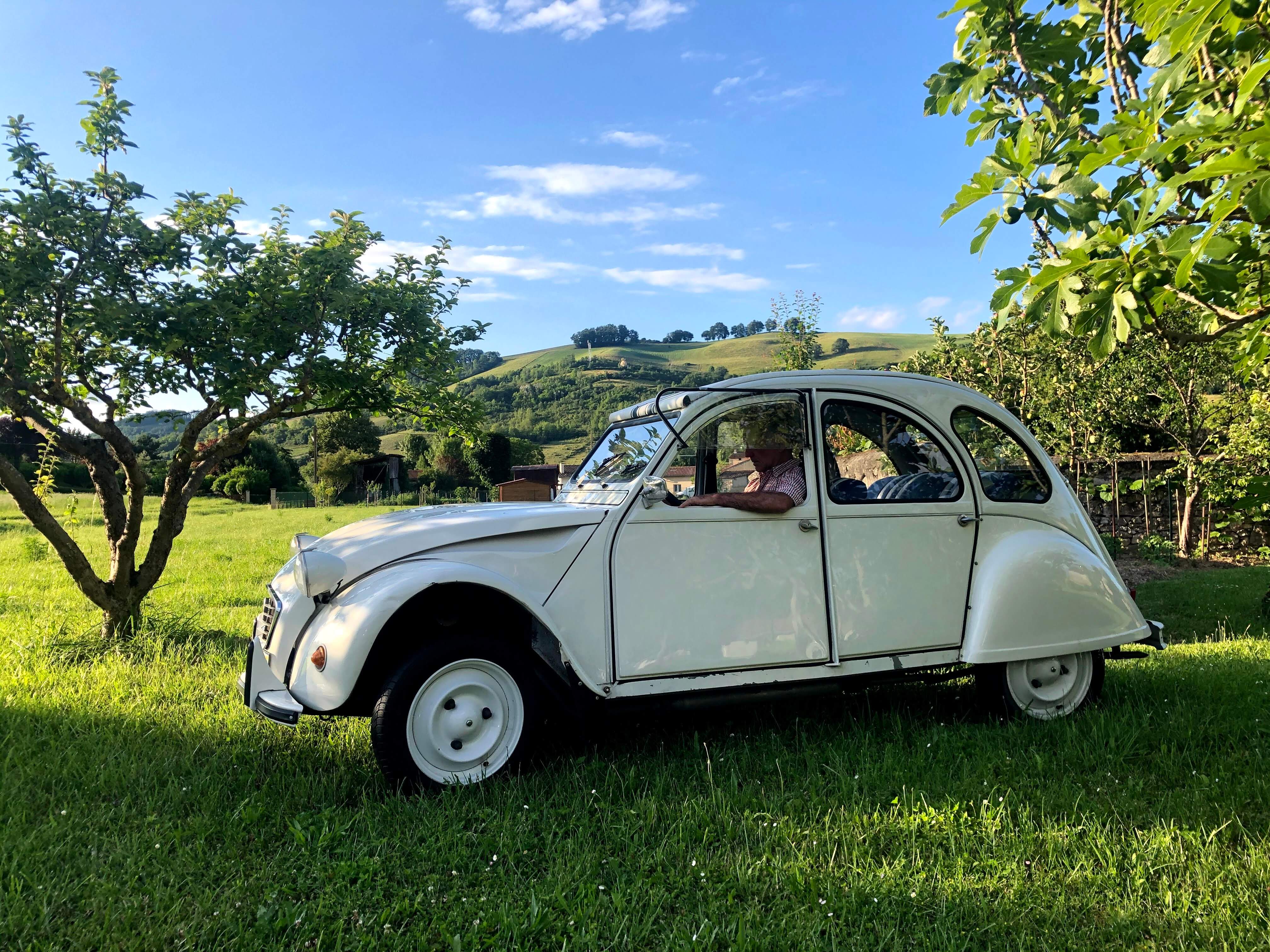 2CV dans les champs